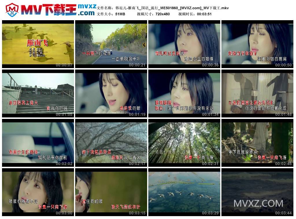韩逗儿-雁南飞_国语_流行_ME501860